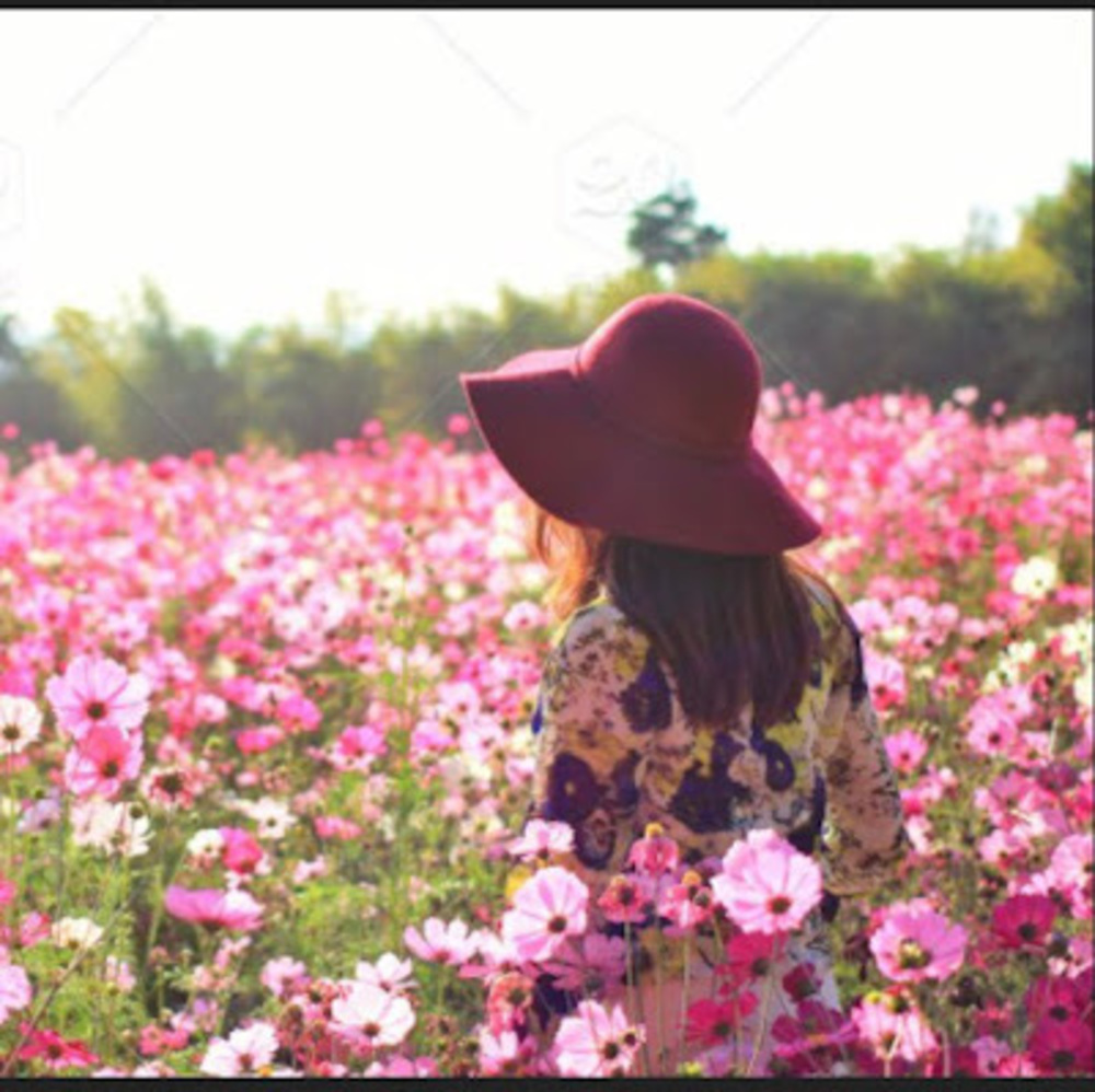 Meet your Posher, Mut